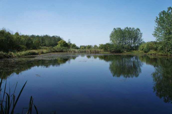 水質(zhì)檢測(cè)機(jī)構(gòu) 水質(zhì)檢測(cè)機(jī)構(gòu)