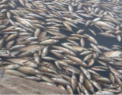 深圳水質檢測 深圳水質檢測