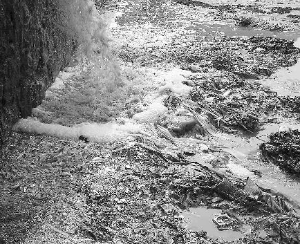 水質檢測機構 水質檢測機構