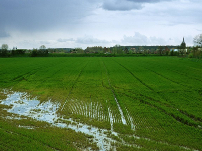 深圳水質檢測 深圳水質檢測