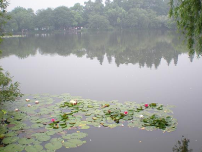 深圳水質(zhì)檢測(cè) 深圳水質(zhì)檢測(cè)