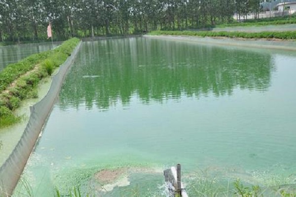 養(yǎng)殖水質(zhì)檢測 養(yǎng)殖水質(zhì)檢測